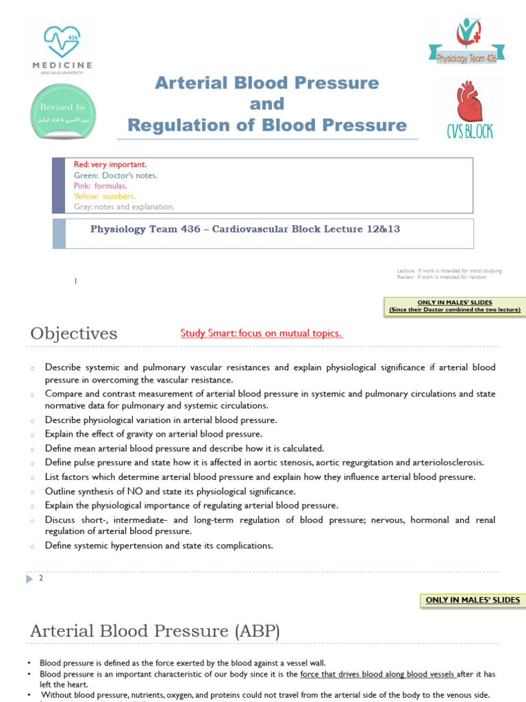 12,13 - Arterial BP & Regulation of BP | PDF | Blood Pressure | Blood ...
