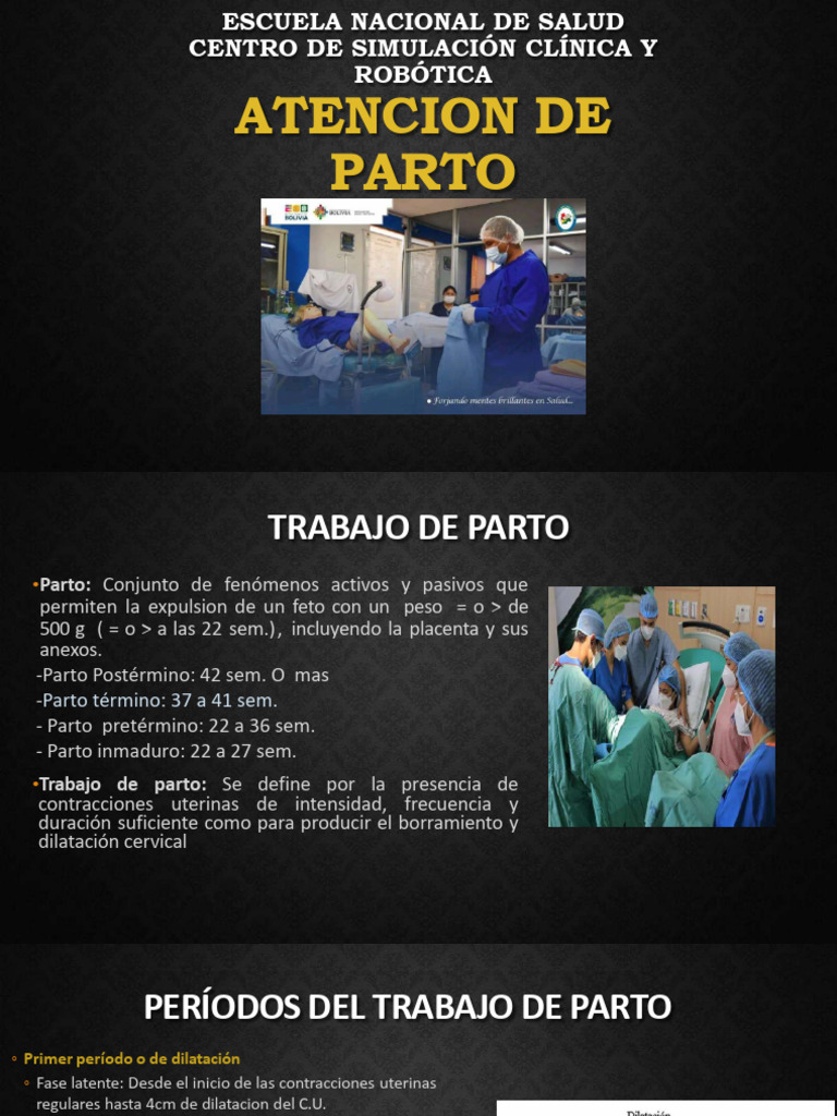 Atención Integral en el Parto: Guía Clínica | PDF | Parto | Mamíferos ...