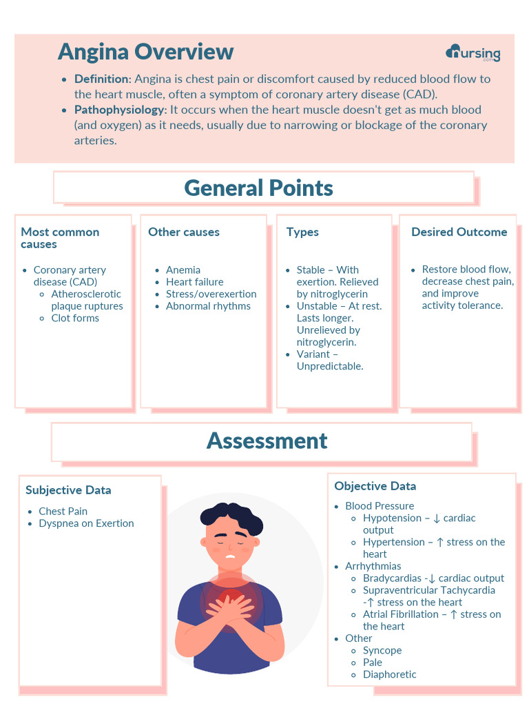Angina lesson outline | PDF | Heart | Myocardial Infarction