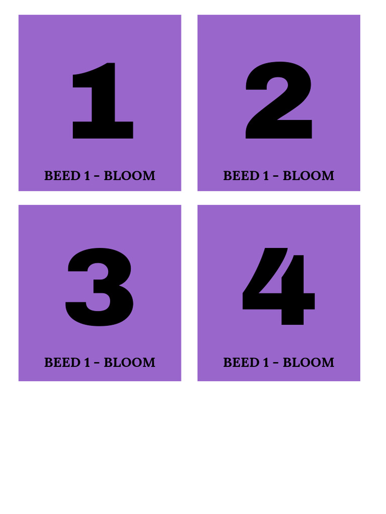 BEED 1 - BLOOM Series Overview | PDF