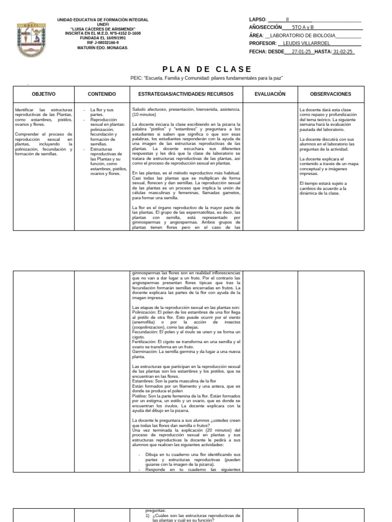 Formato Plan de Clase 2024-2025 | PDF | Flores | Morfología Vegetal