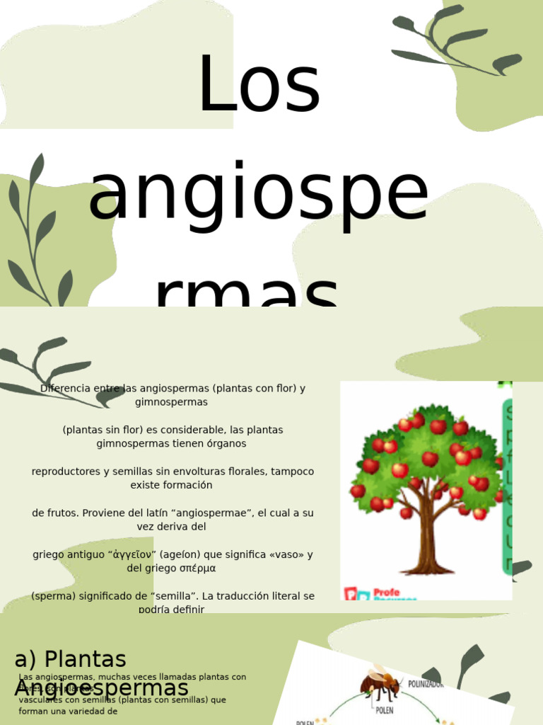 Características de las Angiospermas | PDF | Flores | Organismos
