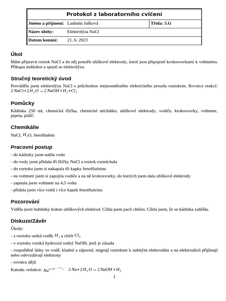 Protokol | PDF