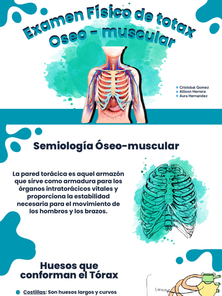 Semiología del Tórax: Inspección y Palpación | PDF | Tórax | La columna ...
