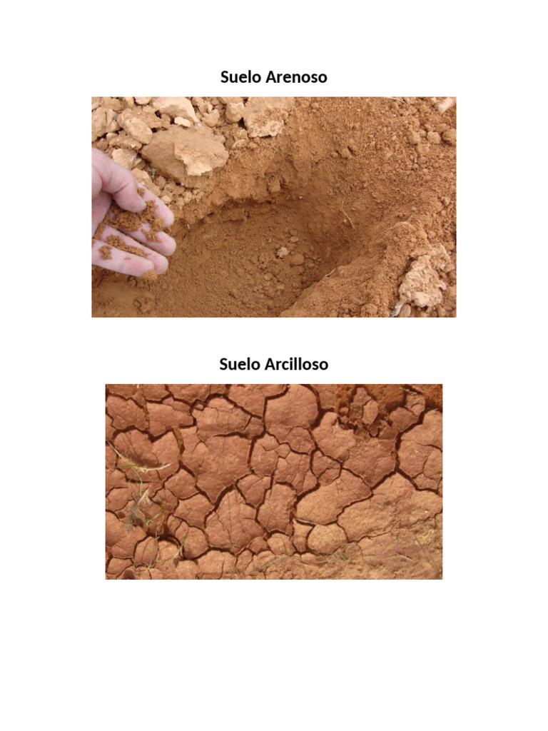 Suelo Arenoso | PDF