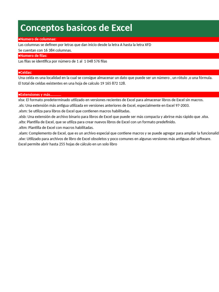 1Ejercicio_Basico | PDF | Microsoft Excel | Hoja de cálculo