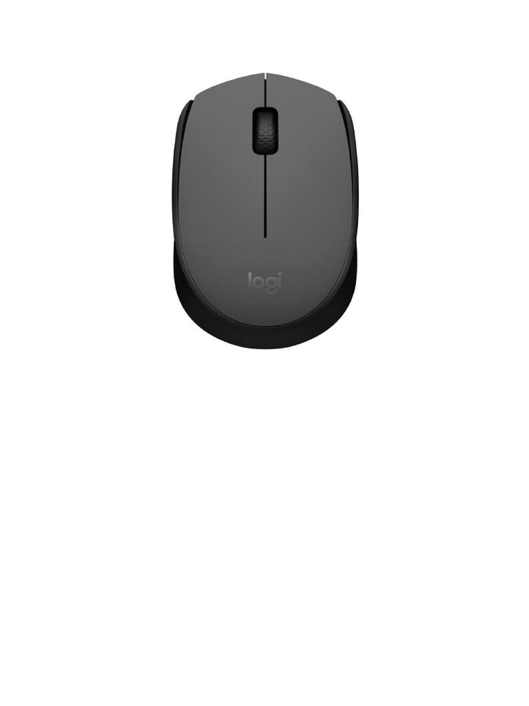 Mouse | PDF