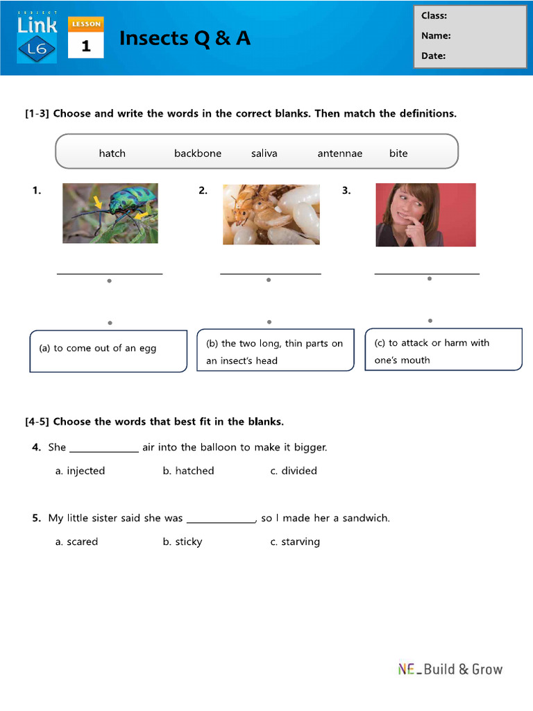 Subject Link 6 - L1 - Lesson Test | PDF