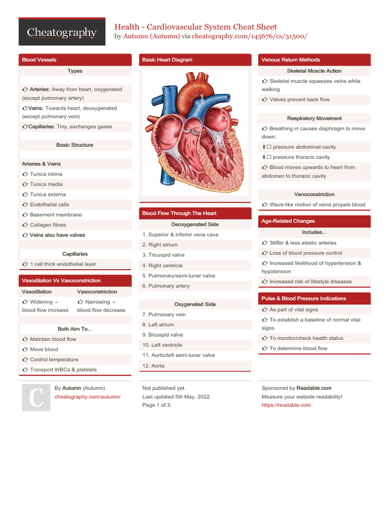 Health Cardiovascular System | PDF | Vein | Heart
