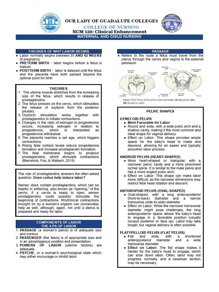 NCM 120 - Normal Labor and Delivery | PDF | Childbirth | Pelvis