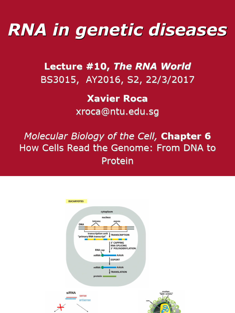 RNA's Role in Genetic Diseases | PDF | Rna Splicing | Micro Rna