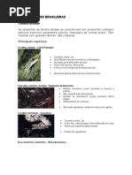 12. SERPENTES BRASILEIRAS