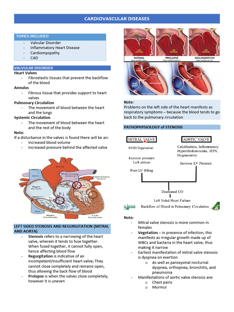 Cardiovascular Diseases | PDF | Heart | Myocardial Infarction