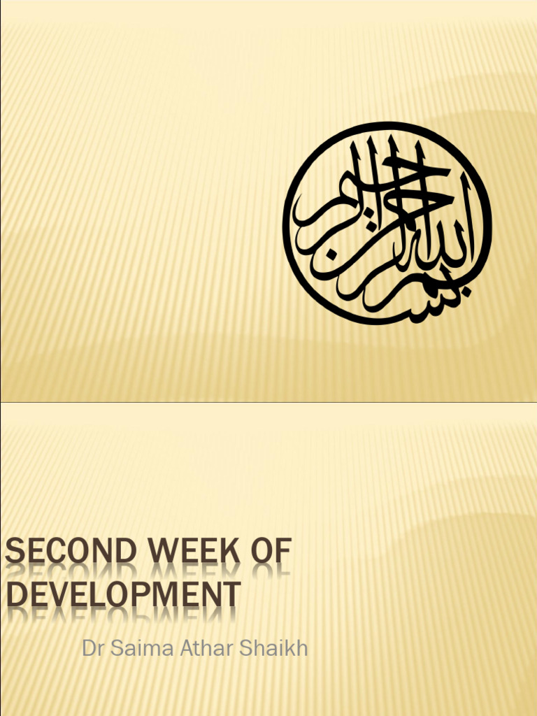 Second Week of Embryonic Development | PDF | Anatomy | Developmental ...