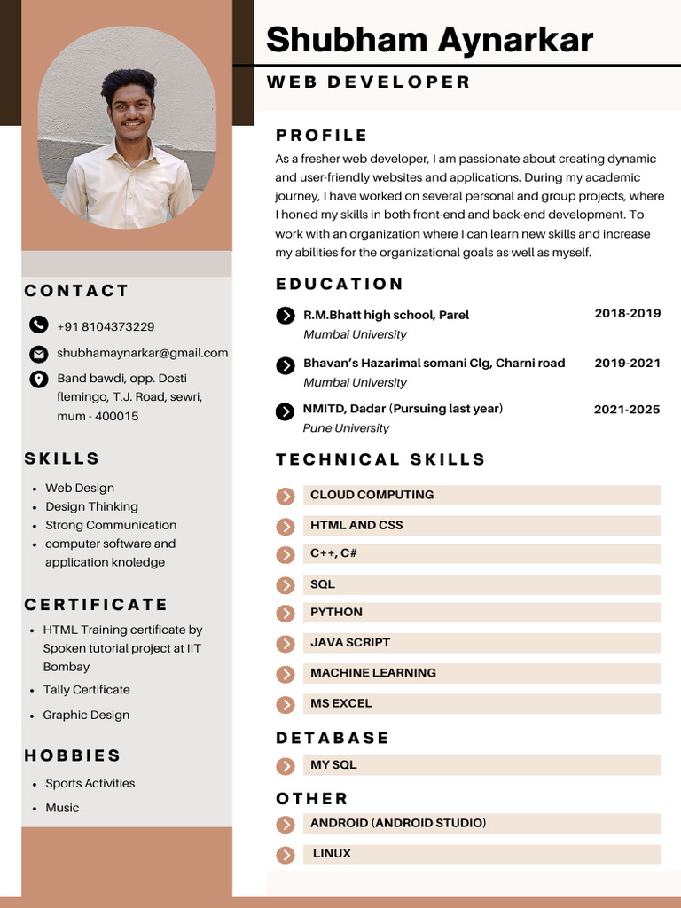 Web Developer Skills and Profile | PDF