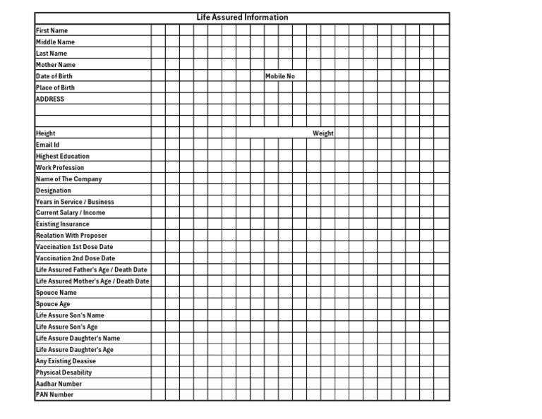 Insurere Information 1 | PDF