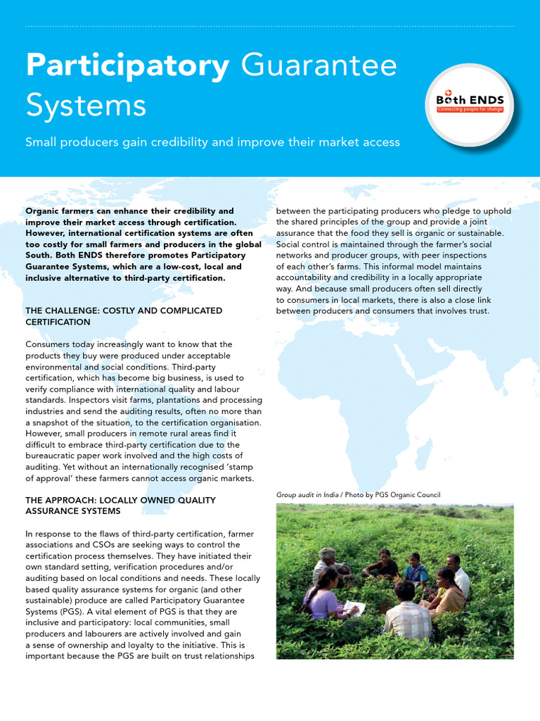 Main Tree Project Case - Hyperlinks | PDF | Audit
