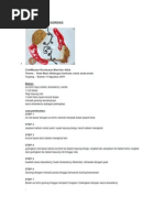 Download Master Chef by Munadin DZaky SN82950831 doc pdf