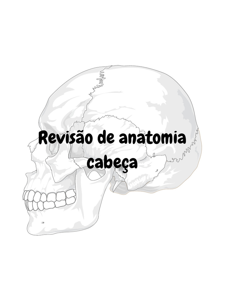 Anatomia do Crânio e Termos de Direção | PDF | Crânio | Esqueleto