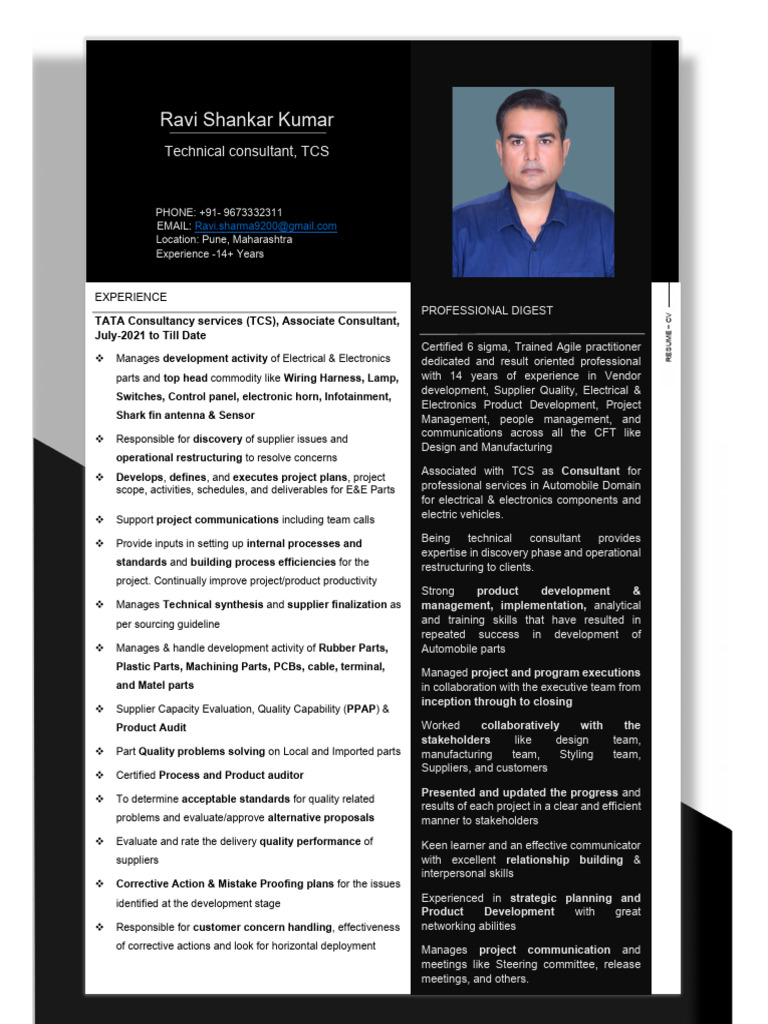 Ravi Shankar Kumar: Technical Consultant Profile | PDF | Audit ...