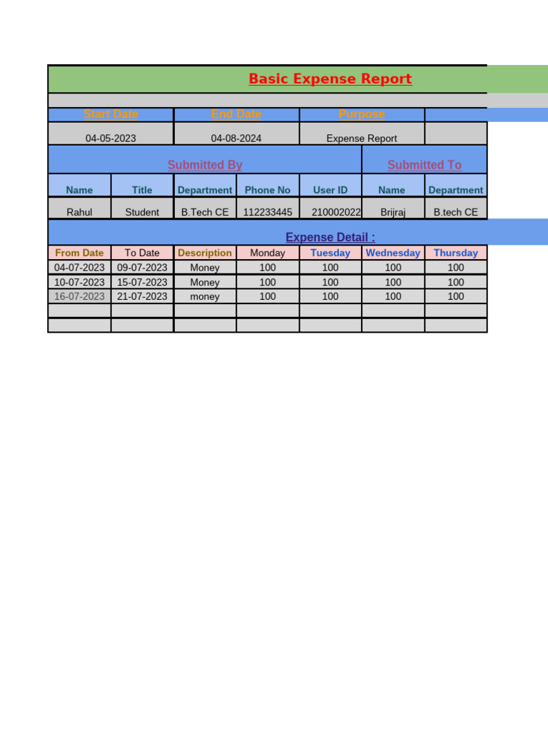 Basic Expense Report Summary | PDF