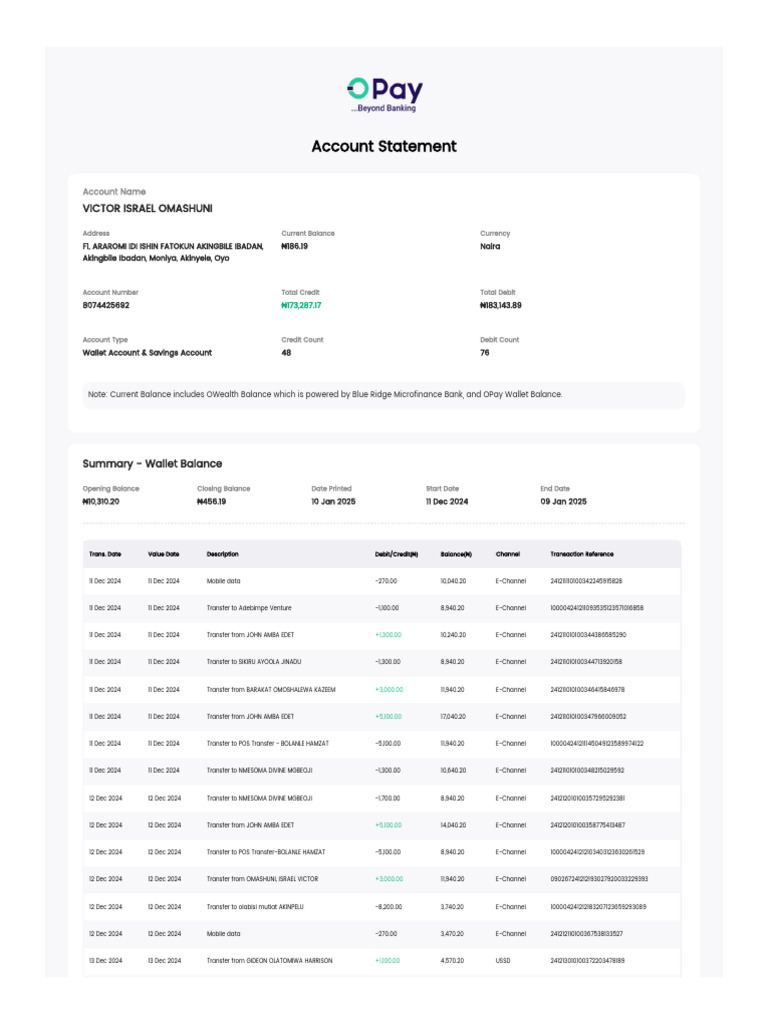 Wallet Account Statement Summary | PDF | Debit Card | Foreign Exchange ...