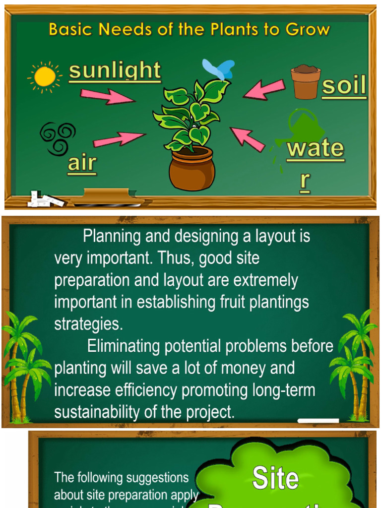 Orchard Layout | PDF