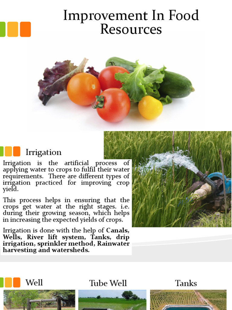 Food Resource Improvement Techniques | PDF | Pest (Organism) | Crops