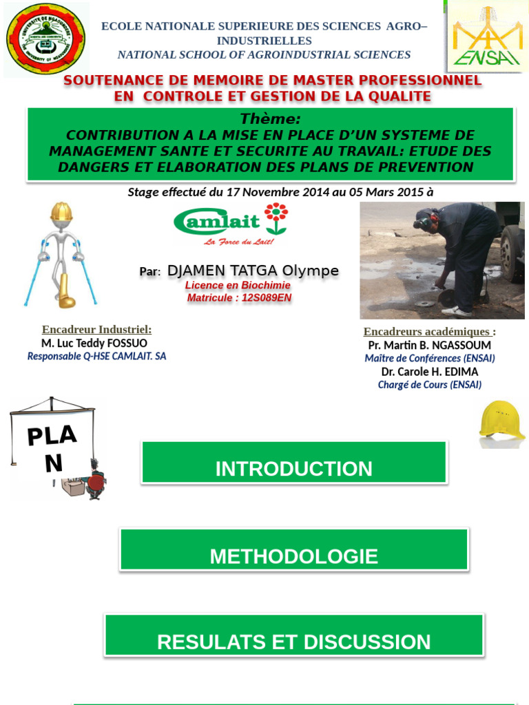 Gestion des risques en santé au travail | PDF | Risque | Gestion des ...