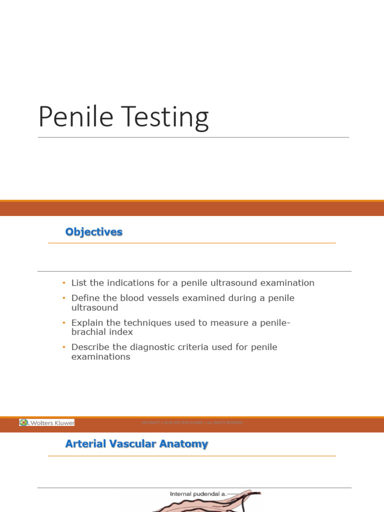 Unit 9 Penile Testing | PDF | Medical Ultrasound | Medical Specialties