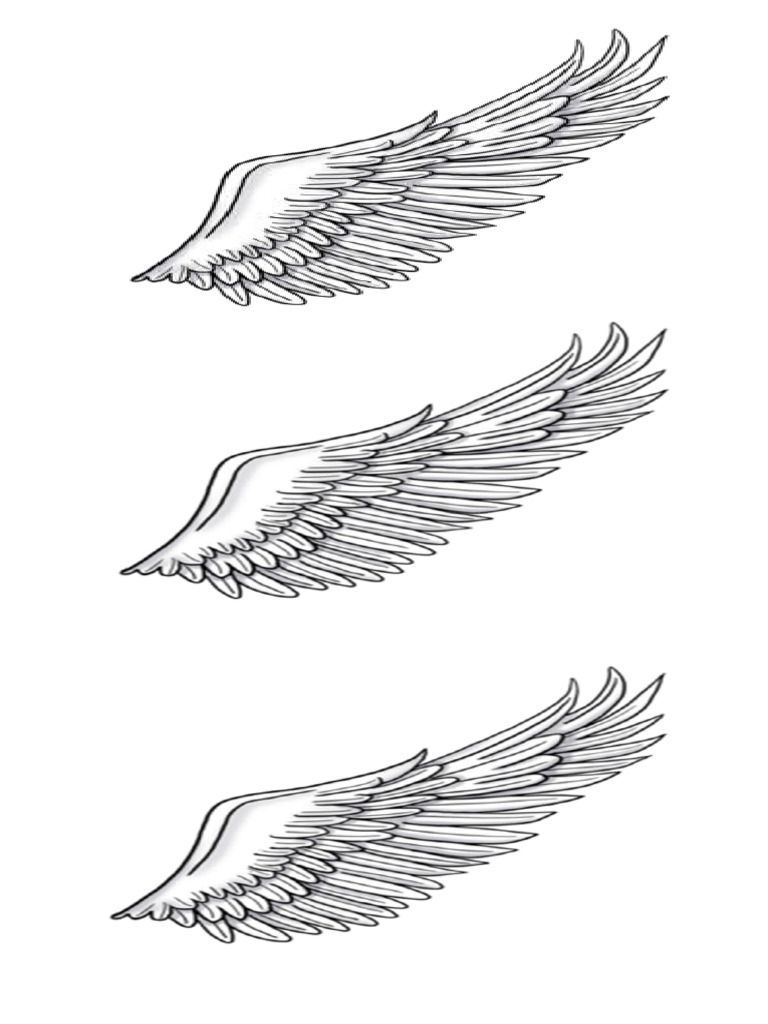 Wings | PDF