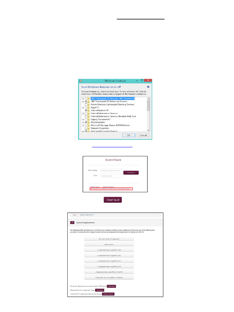 Manual de Uitilizare ECDL-simulari | PDF