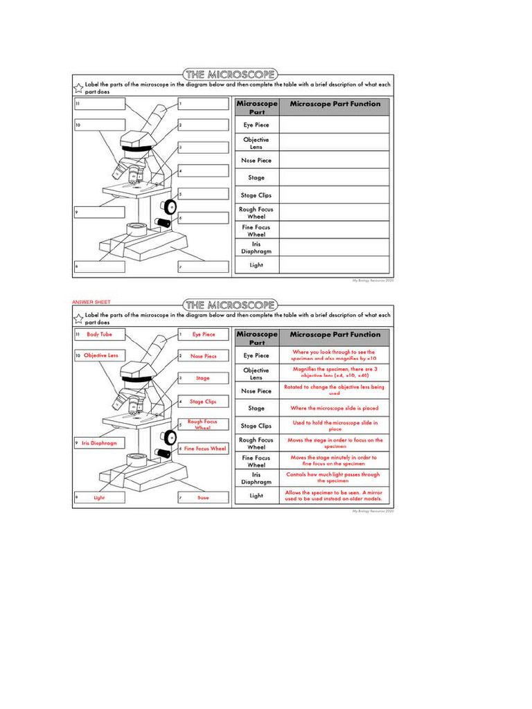 Bio Factsheets | PDF