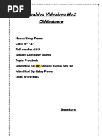 PDF Document