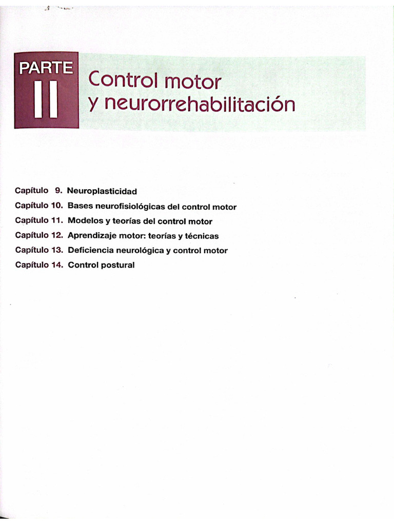 Control Postural | PDF