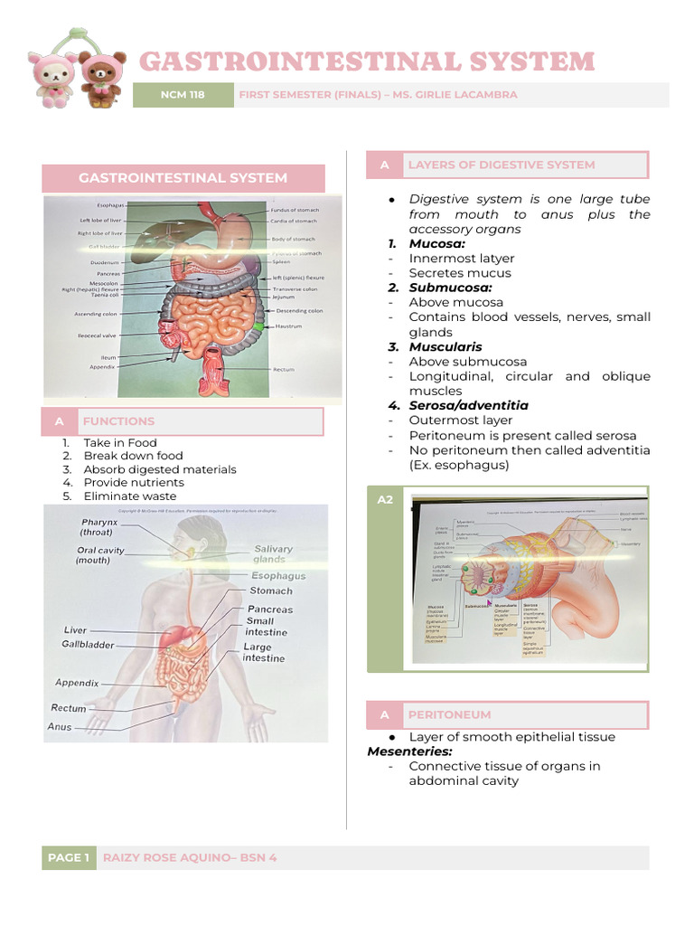 Overview of the Gastrointestinal System | PDF | Stomach | Liver