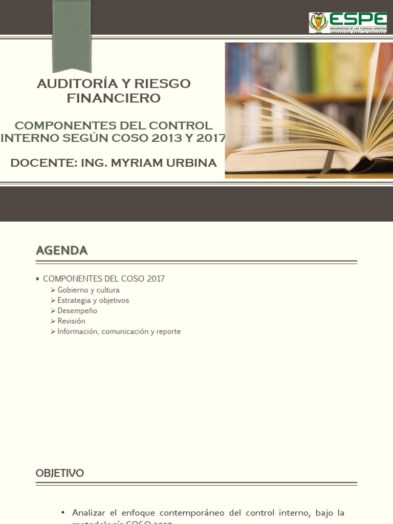 Control Interno y COSO 2017: Riesgos Empresariales | PDF | Business ...