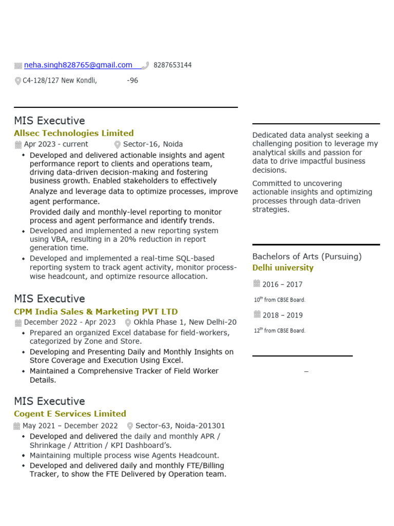 MIS Executive Resume: Data Analysis Skills | PDF | Microsoft Excel ...