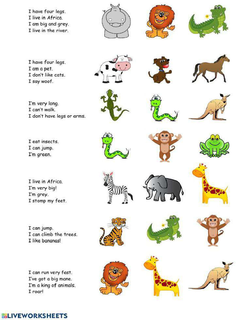 Animal Riddles Worksheet | PDF
