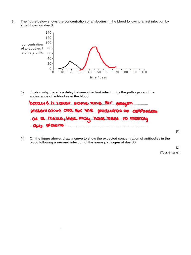 Specific Immune System Exam Questions | PDF | Immune System | Lymphocyte