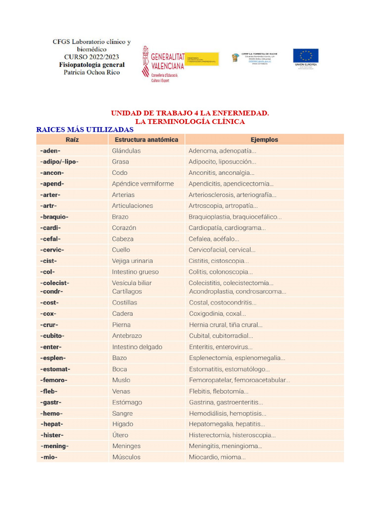 Terminología Clínica en Enfermedades | PDF