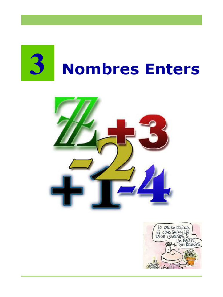 Tema3 Enters 1ESO | PDF