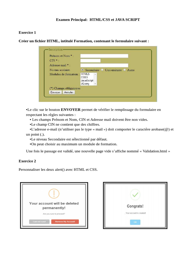 Formulaire HTML/CSS avec Validation JS | PDF