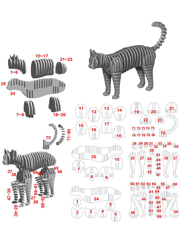 Cat Manual | PDF