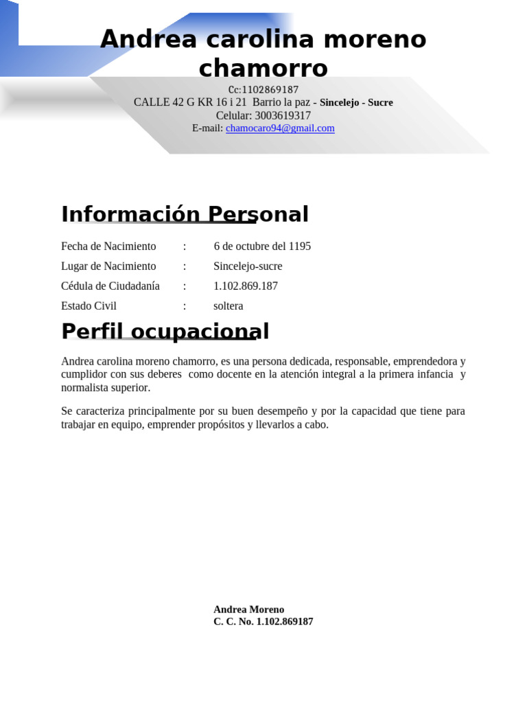 Perfil Profesional de Andrea Moreno | PDF