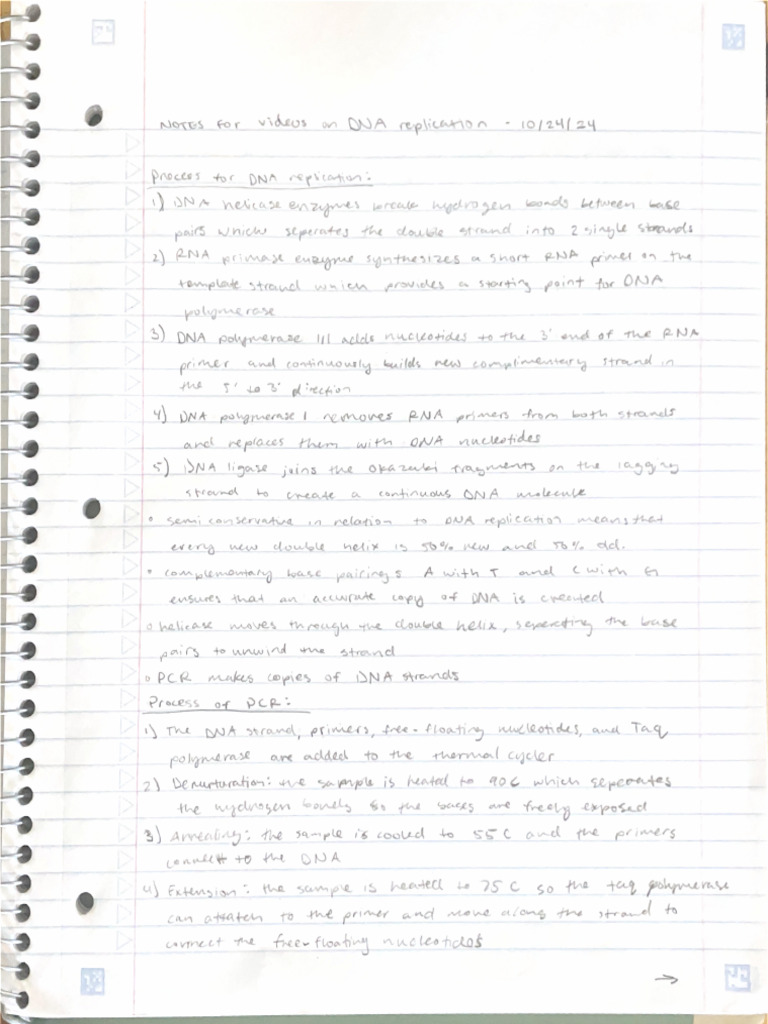 DNA Replication | PDF