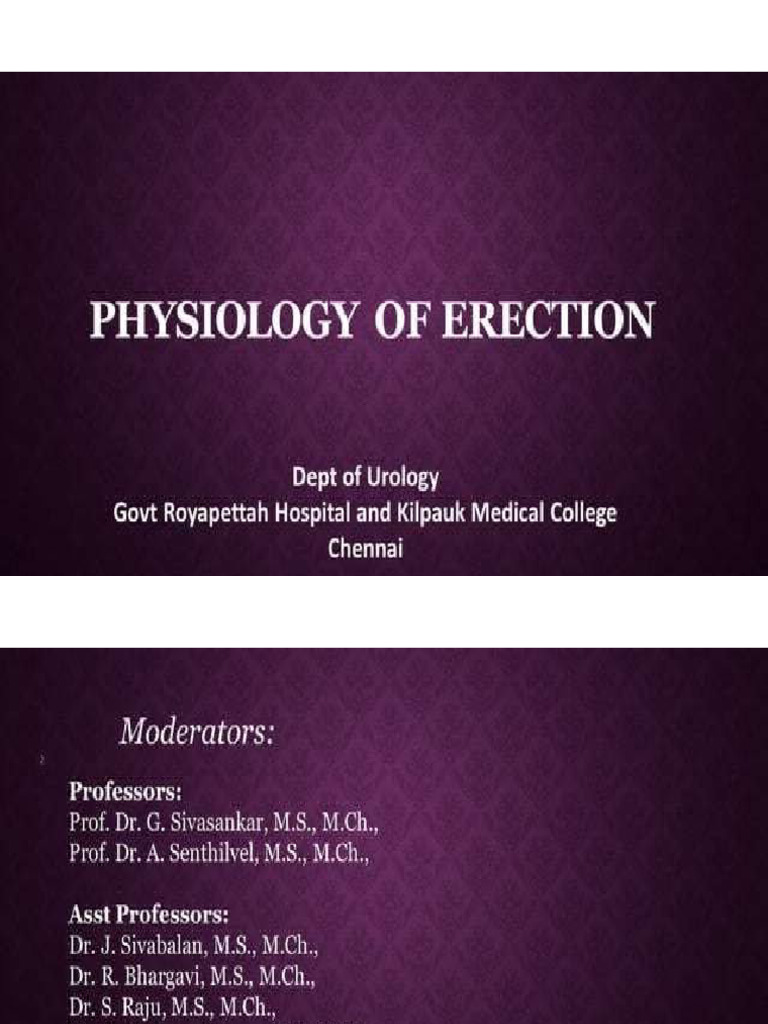 Penis Erection Physiology Pdf