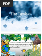 Longman Preparation Course For The Toefl R Test Next Generation Ibt Full Book1 Mantle Geology Aggression