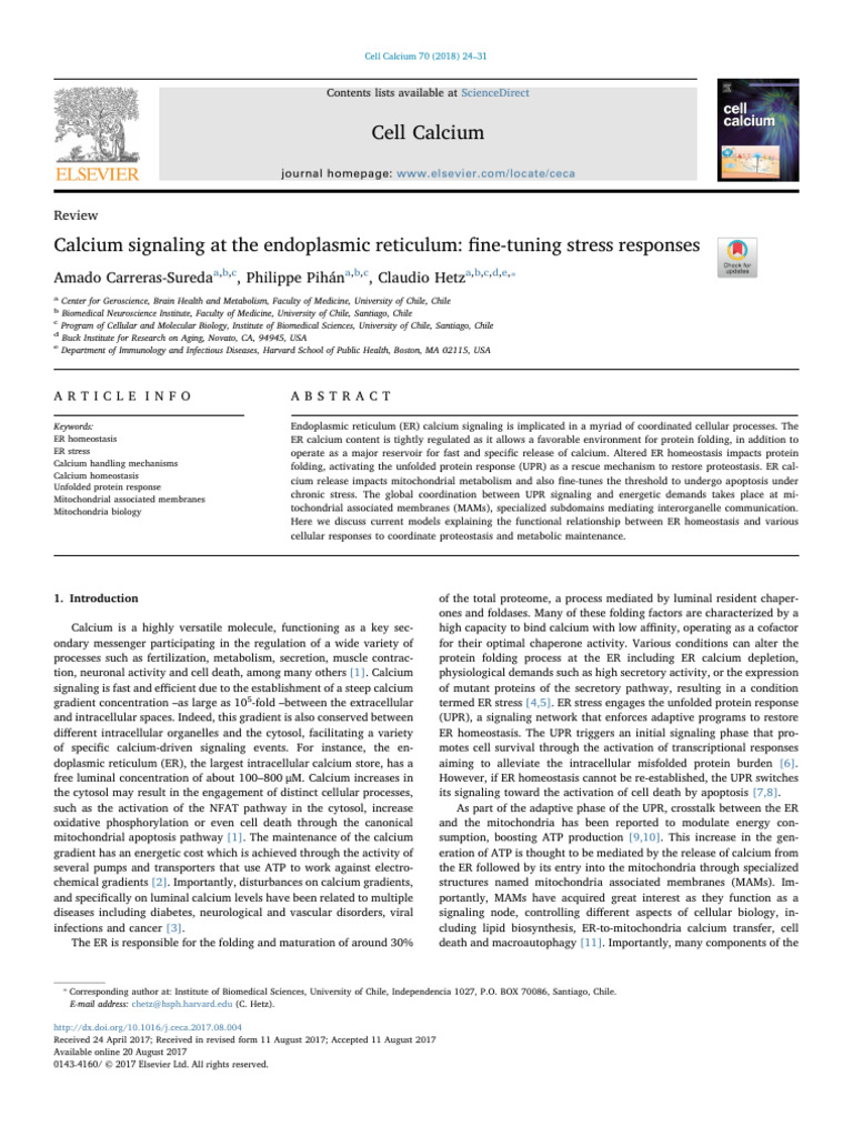 Calcium Signaling at The Endoplasmic Reticulum | PDF | Endoplasmic ...