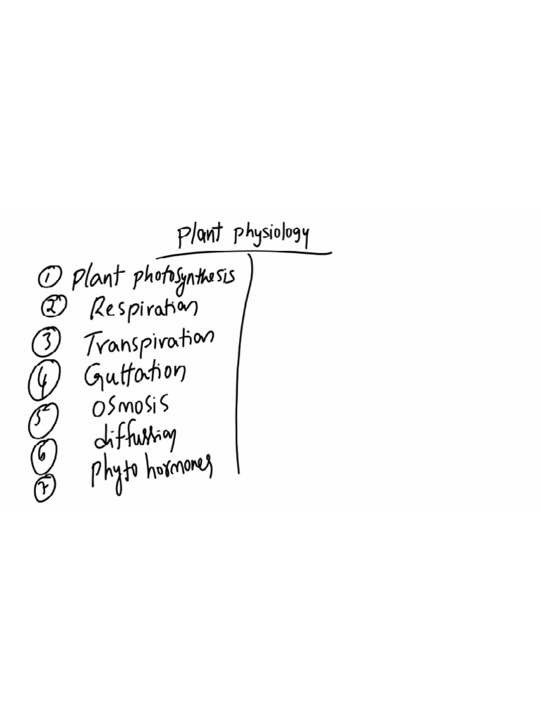 Biology Class Notes-13 | PDF